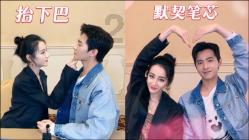 哈尼和她的宠物们
